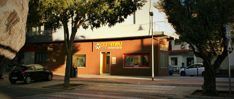 Clínica veterinaria commeu , L'alcudia - Valencia